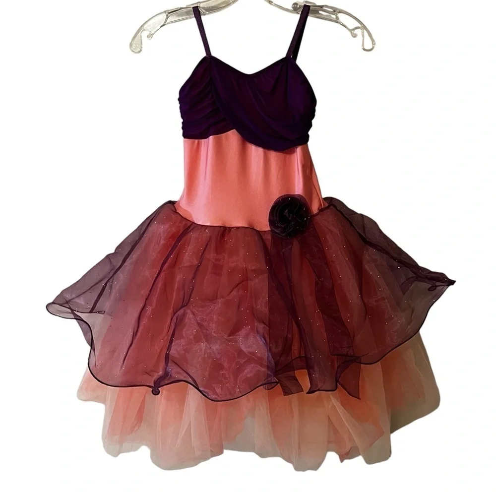 Revolution Girl’s Dance Costume Recital Dress Tulle Pink Purple Large Child